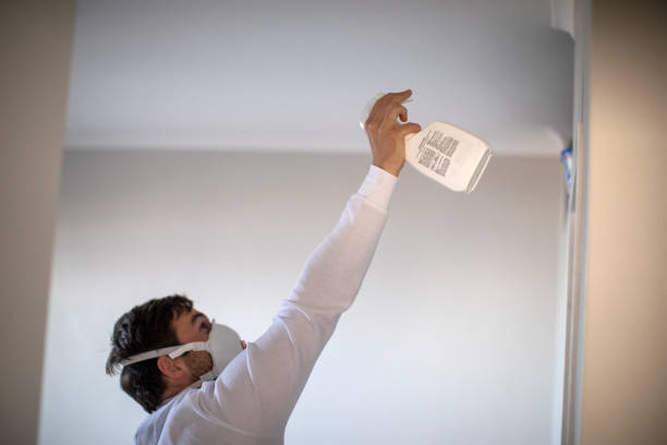 Best Certified Mold Removal  in Port Huron, MI