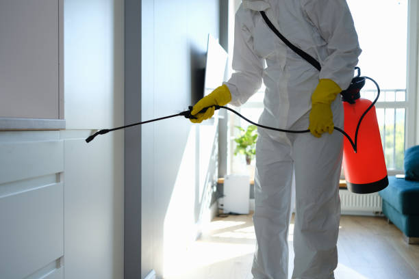 Best Mold Remediation  in Port Huron, MI