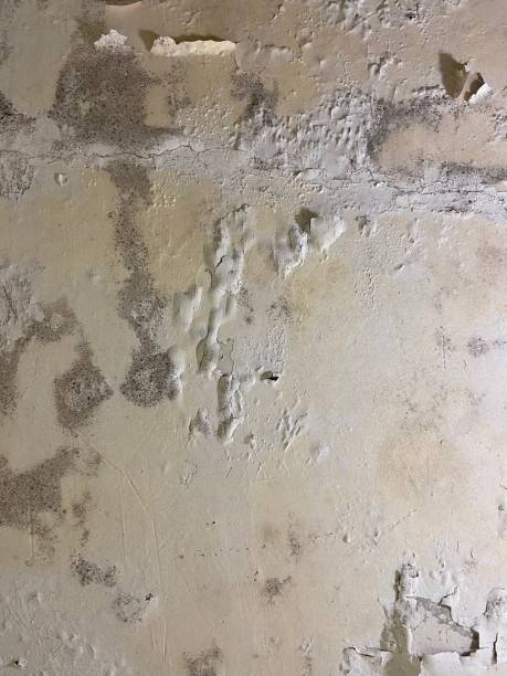 Water Damage Restoration in Port Huron, MI