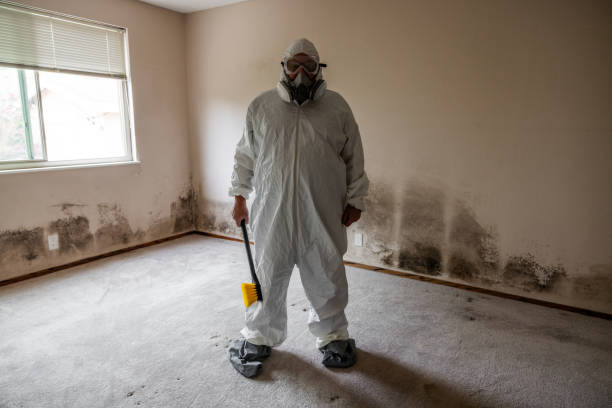 Office Mold Removal Services in Port Huron, MI